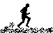 runner1.gif (2717 bytes)
